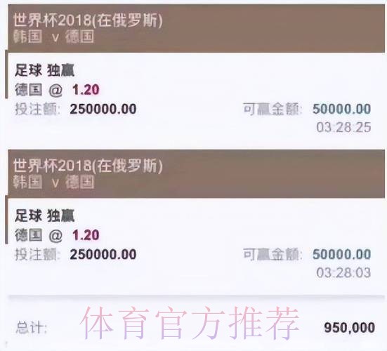 世界杯投注权威指南：安全可靠投注平台精选
